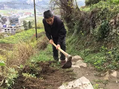 七旬老翁采漁郎打一屬相：七旬老翁采漁郎，猜一生肖