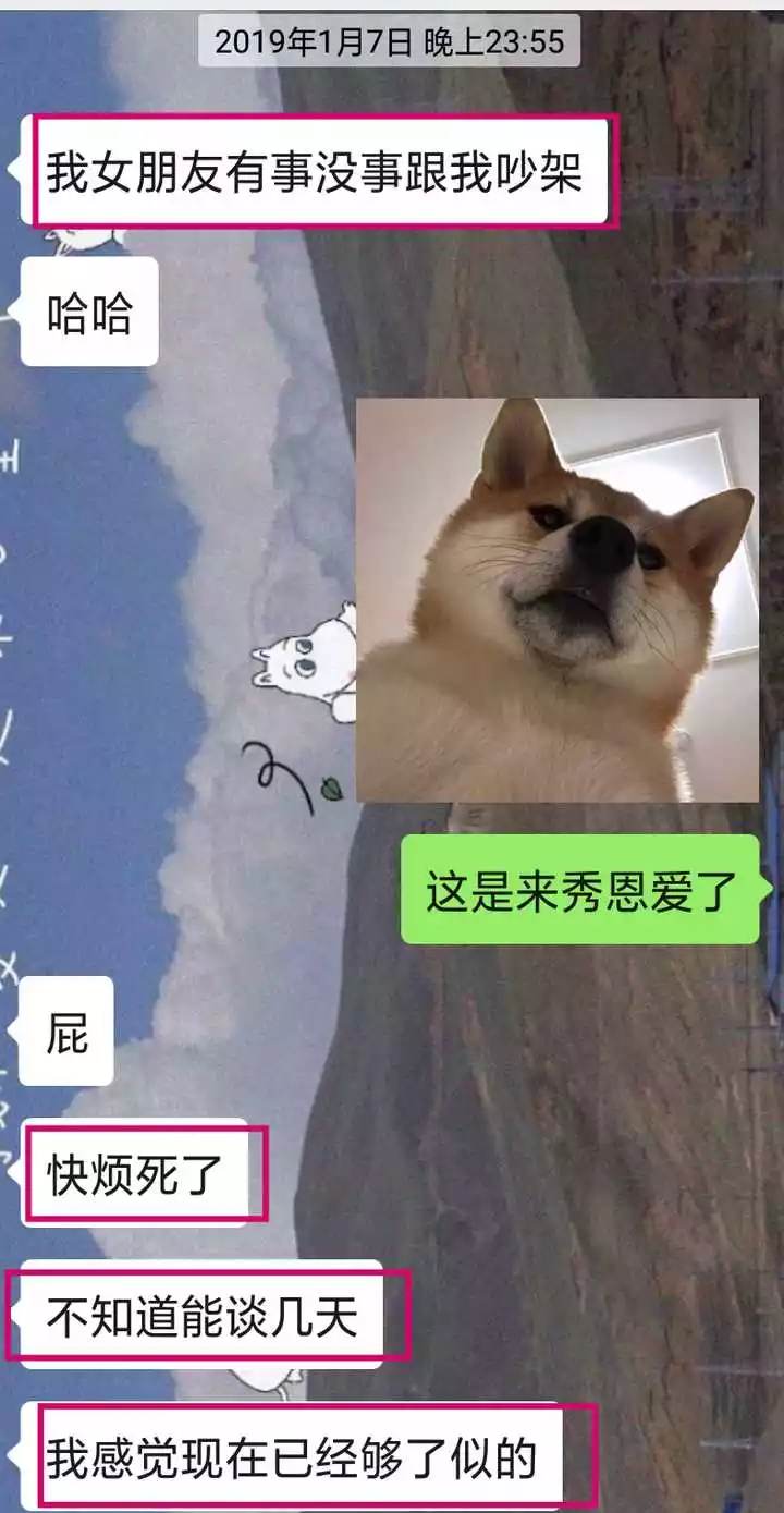 6、狗男與狗女的婚配怎麼樣:男狗女狗屬相相配嗎