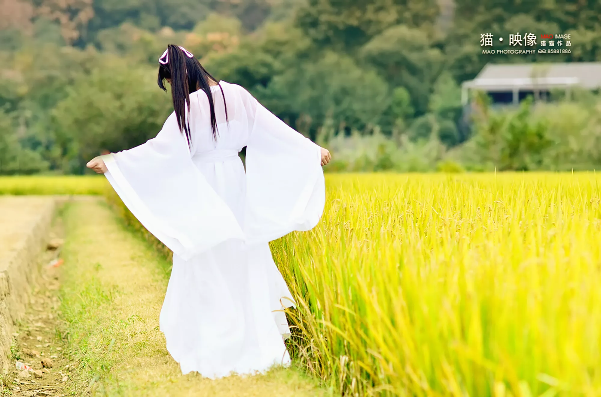 凡人女什麼屬相最好：女孩什麼屬相好