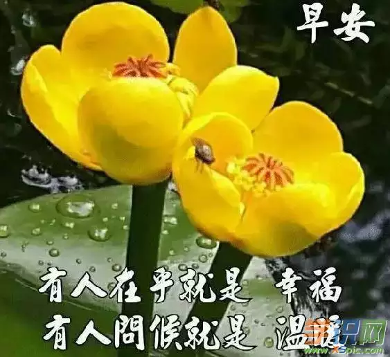 祝願孩子陽光成長的話：祝願孩子陽光成長的話