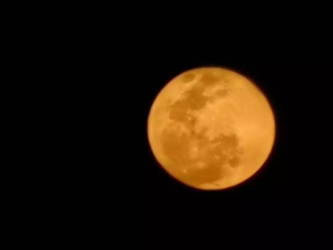 親們，一輪明月天上掛，司馬徽再薦名士，劉玄德3顧草廬，猜一生肖是什麼生肖