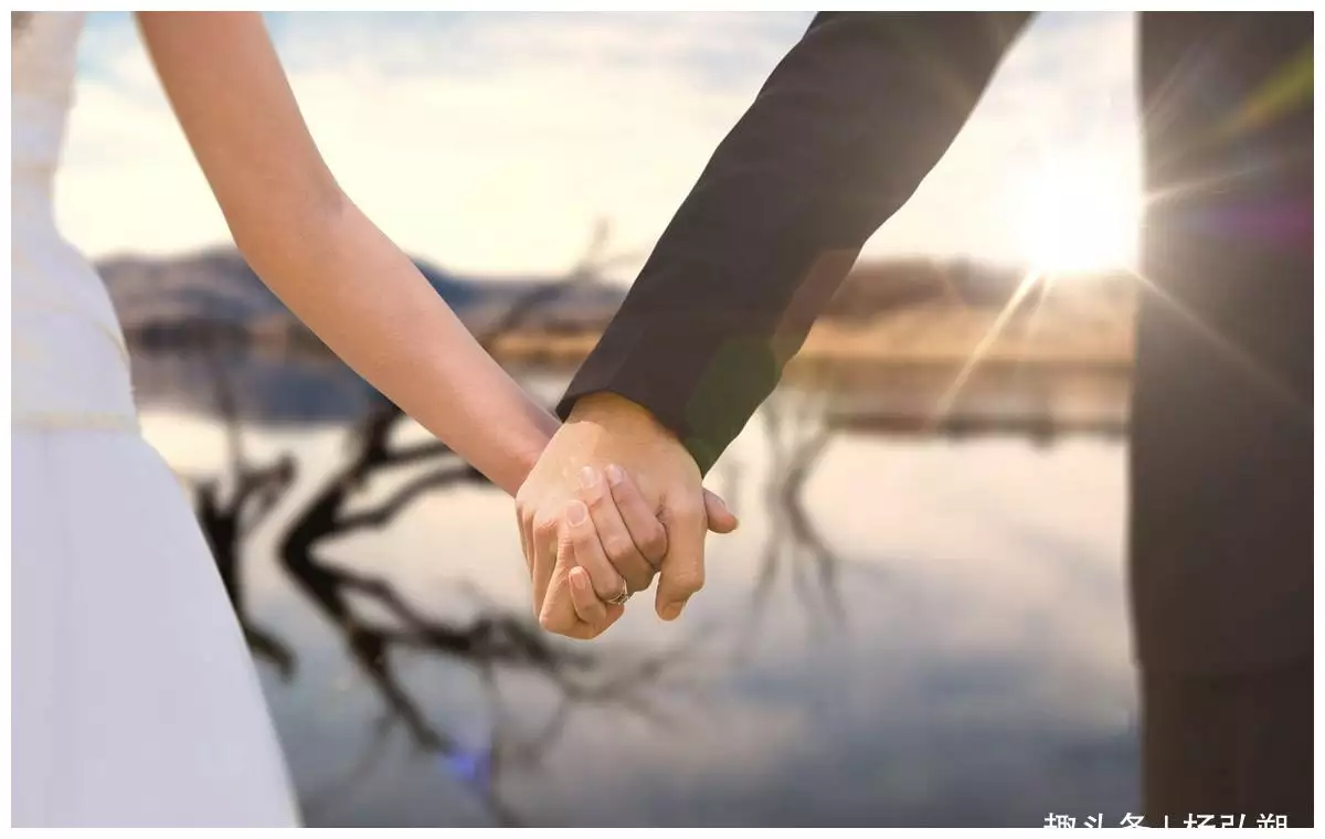 2、金羊與己巳蛇婚配若何:屬蛇的和屬羊的婚配嗎?