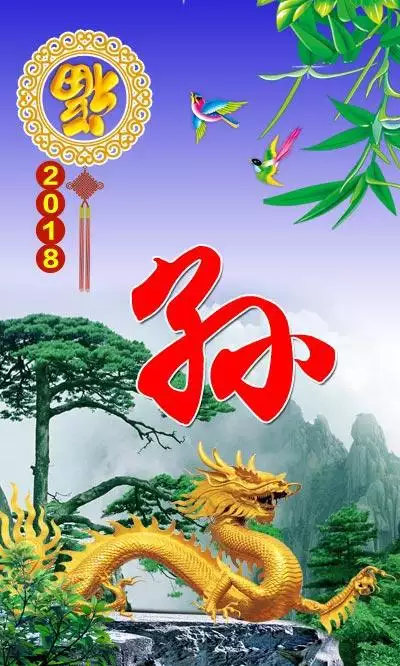 大龍屬相都是哪一年的：屬龍的，是哪一年出生的？？？？