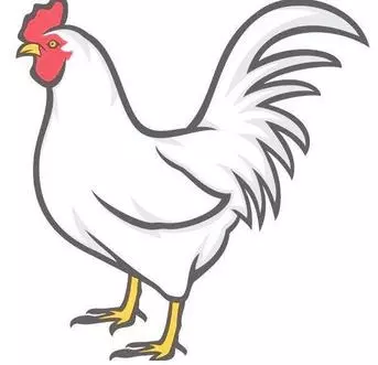 屬雞和屬馬忌諱生哪個屬相的孩子：老公屬馬的，我屬雞要什麼屬相的寶寶好？