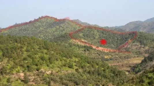 陰宅辛山乙哪個屬相後輩最好：陰宅辛山乙向正面有魚塘好不好?