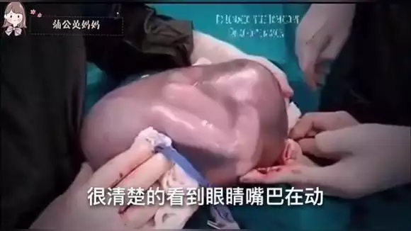 免費算一生有幾個子女：如何算出一個人一生有幾個孩子
