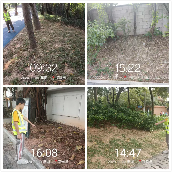 年9月15日什麼屬相：年9月15日出生的人是什麼星座