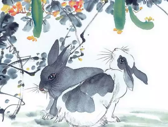 兔屬什麼屬相孩子好呢：年兔和年蛇生個什麼屬相孩子好？