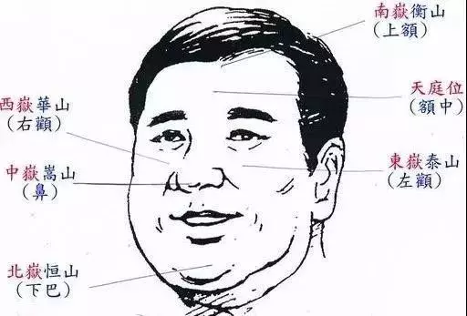 1、晚年運看哪裡:上哪裡代表30歲到以後的命運？謝謝