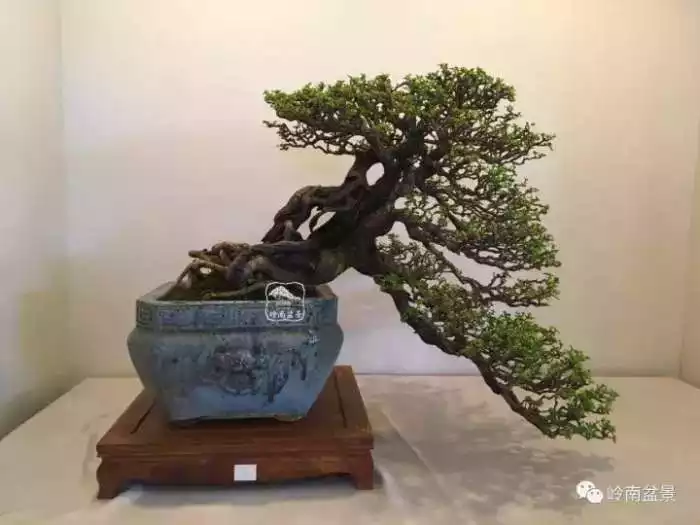 平步青雲助登天什麼屬相：平步青雲飛黃騰達一步登天還有什麼？