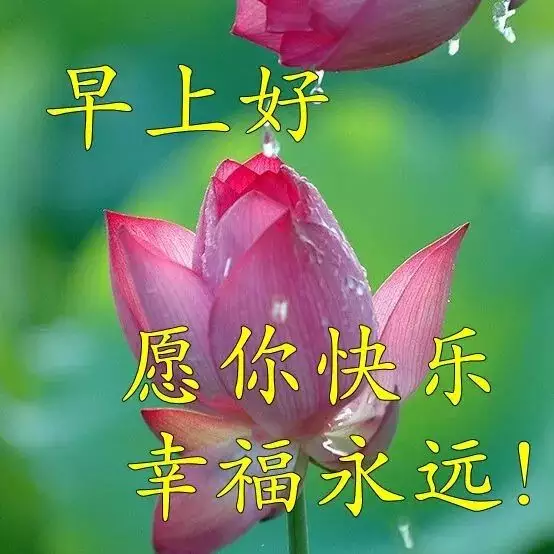 1、運氣很好的群名:表示招財好運氣的微信名有哪些？