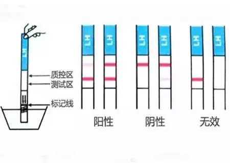 吃完葯驗孕棒一深一淺：毓婷驗孕棒一深一淺色
