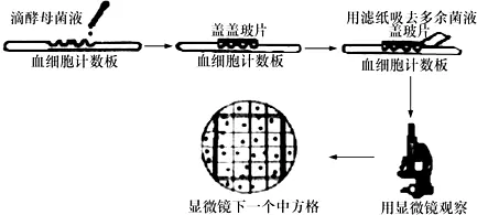 2、【物質的跨膜運輸方式】圖中有哪些信息？a、b、1、2、3、I、II分別表示什麼？