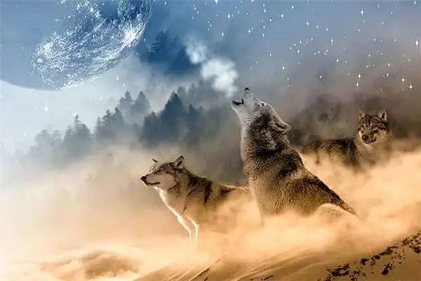 獨一無二的霸氣男網名：獨一無二的網名 男的