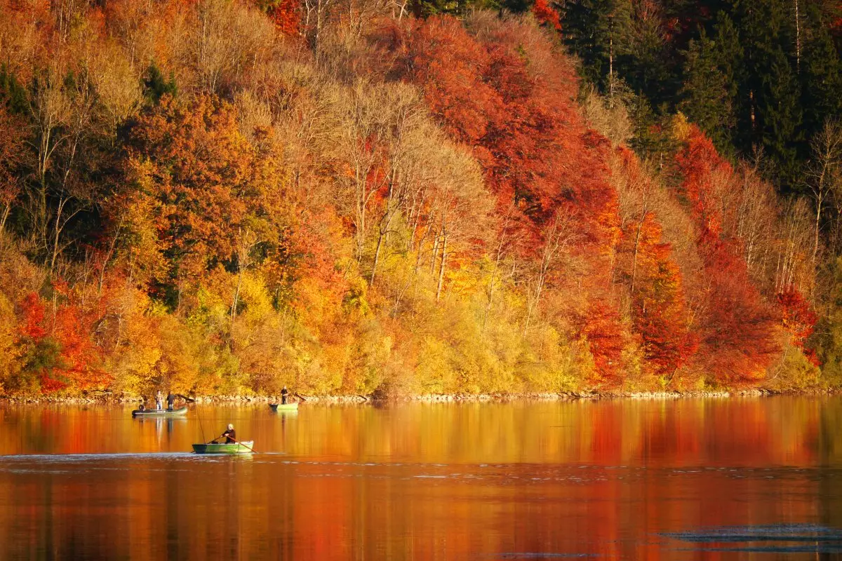 1、最浪漫的發紅包方式:最浪漫的發紅包方式