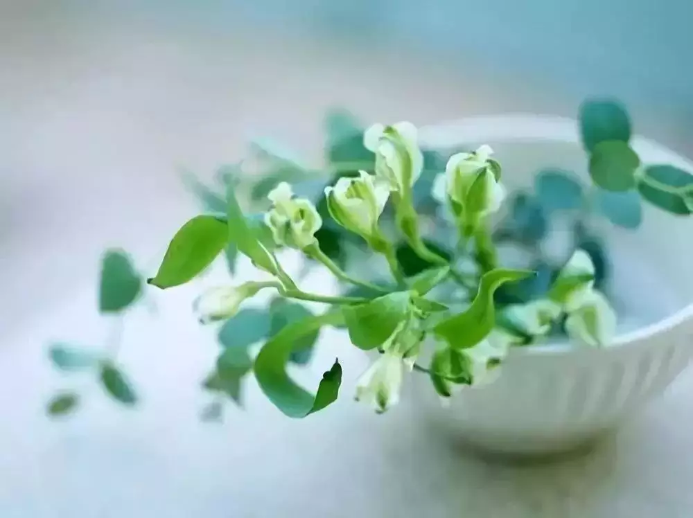 1、如何讓自己運氣越來越好:怎麼能讓自己的運氣越來越好