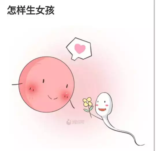 1、什麼時候懷女孩幾率:怎樣生女孩的幾率大點