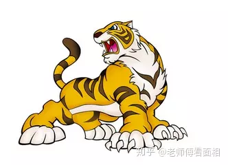 寅虎女和雞男屬相合不合：屬雞的男的和屬虎的女的合不合?