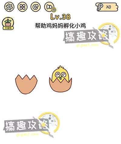 雞媽媽和猴子屬相合嗎：猴子和屬雞生肖相配嗎？