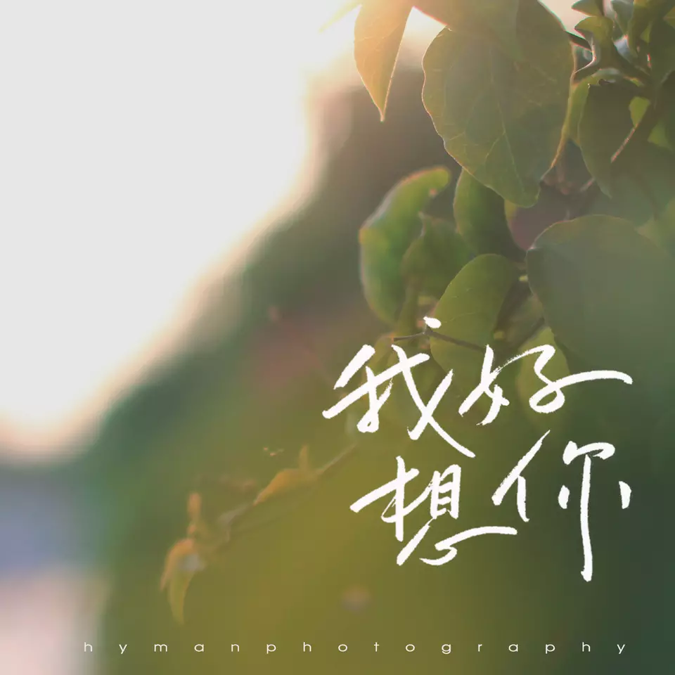1、一個女生說若是你早點遇到我就好了 我說現在晚了嗎 你又還沒娶親 你幸福嗎 你喜歡他嗎？愛他我就退出