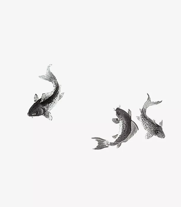 已婚女人夢見黑魚在水：夢見水中有一條似黑魚又似蛇