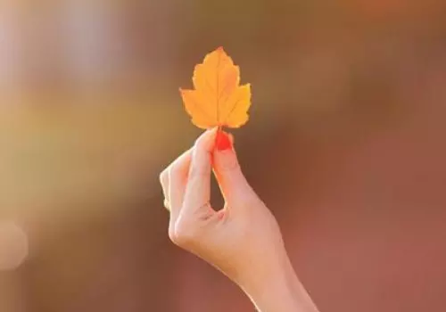 女人吉祥好運財運網名：女性旺財的微信名字有什麼？