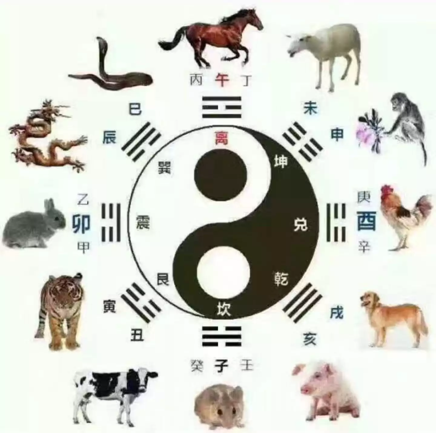 狗和雞屬相六害是什麼意思：狗和雞屬相合適嗎？