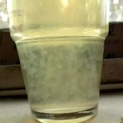 酒精男孩女孩怎麼測試：酒精測試男女是真的嗎？