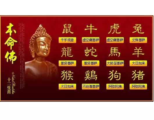 1、十二生肖本命:年十二生肖本命是什麼