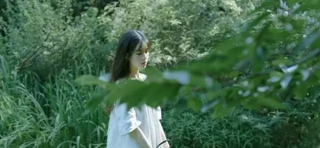 最容易纏身的四個屬相：什麼屬相最好