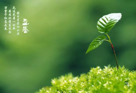 屬相是從立春照樣正月月朔最先：生辰八字屬相是按每年的立春那天算起照樣春節那天算起
