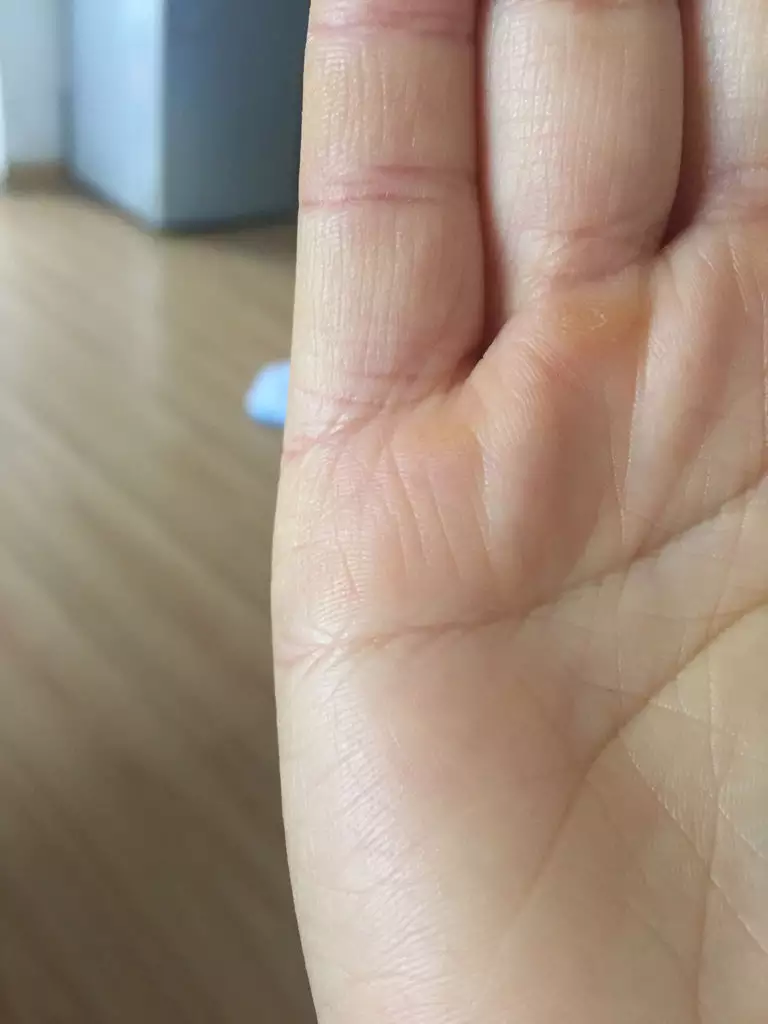 子女線是橫的還是豎的：橫豎的筆畫是什麼？