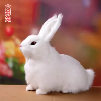 6、女兔的婚配什麼屬相好:屬兔的什麼屬相的工具