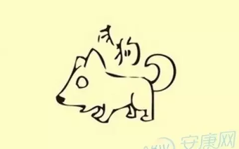 94年屬狗什麼命五行是什麼：94年的狗是什麼命 五行屬什麼