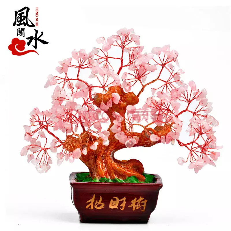 1、寓意運氣好發財的圖片:聚財型發財樹圖片？