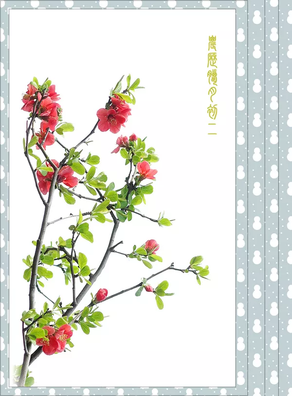 臘月初二是屬相：年大年初二生的是什麼命