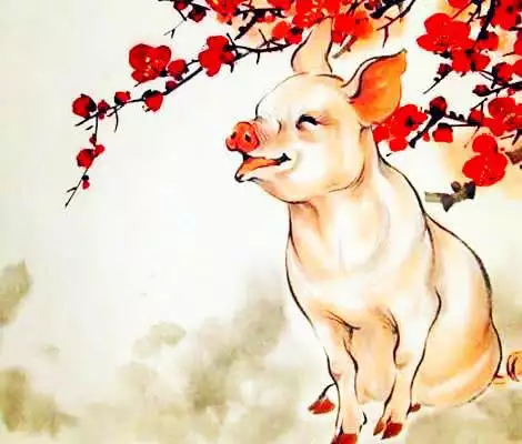 屬豬的人最善良的屬相：最善良的生肖，你了解嗎？
