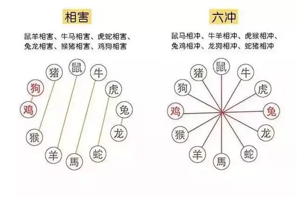 今年屬馬犯太歲的屬相：的太歲屬相