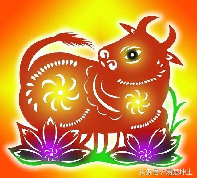 一九九七年屬相是什麼：一九九七七年屬什麼命
