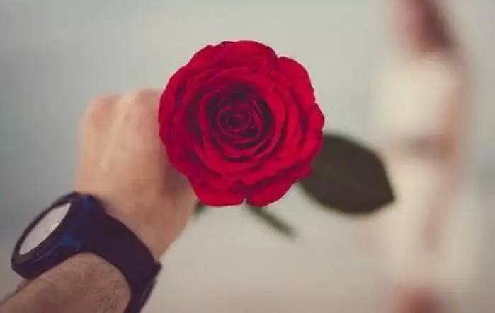 7、算命先生說他十算九准，他算出我下半年結婚，我有意不和異往，拒絕脫單，是不是可以讓算命先生失策？