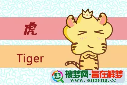 屬虎人的最佳配偶屬相：屬虎的最佳配對屬相是什麼？