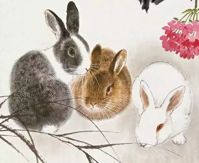 08年出生的小孩屬相：年生小孩屬什麼生肖？