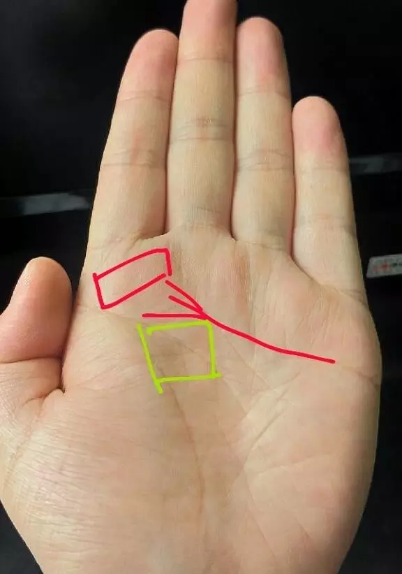 1、.姻緣線是手上的哪一根線:手掌中那一條是感情線。那條是財運線和婚姻線呢