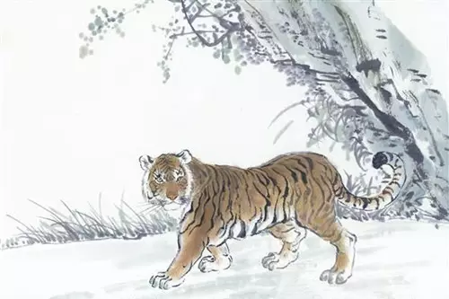 屬虎人永遠最旺的顏色：屬虎人適合什麼顏色