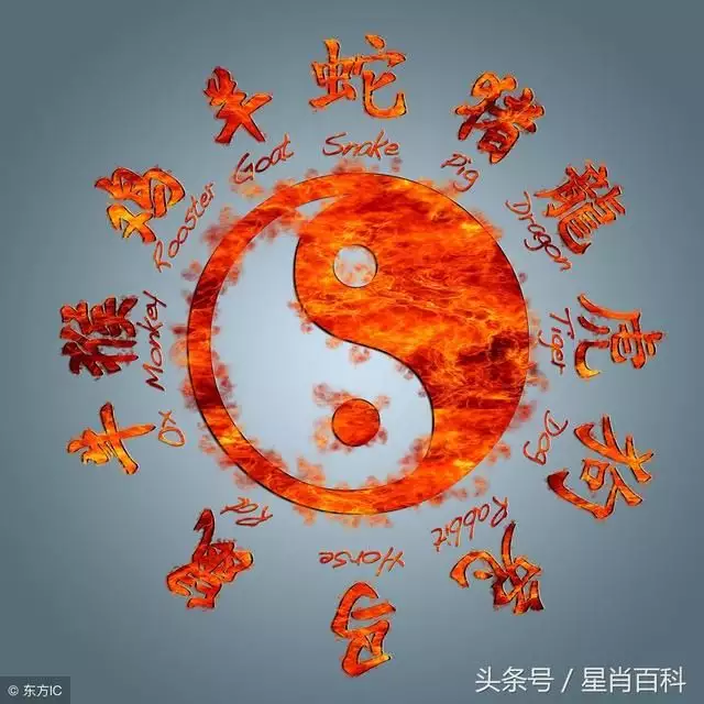 2、76屬龍女的屬相婚配表:年屬龍的婚配
