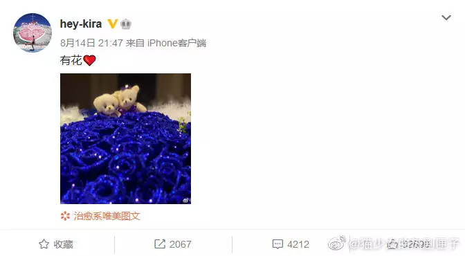 2、招財大牛貓老婆微博:大號“招財大牛貓”停更，這背後的原因是什麼？