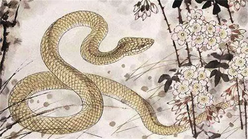 3、屬蛇的和屬蛇的婚配合財嗎:屬蛇和屬蛇的人合財嗎
