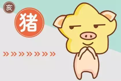 2、運程屬豬運程:屬豬人全年運勢