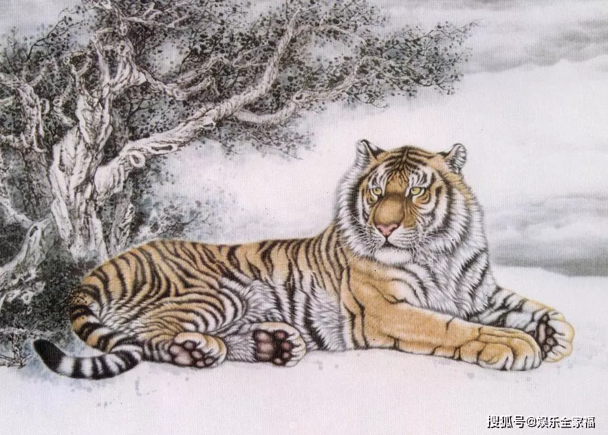 4、屬虎的幾點出生有福氣:屬虎什麼時辰出生好