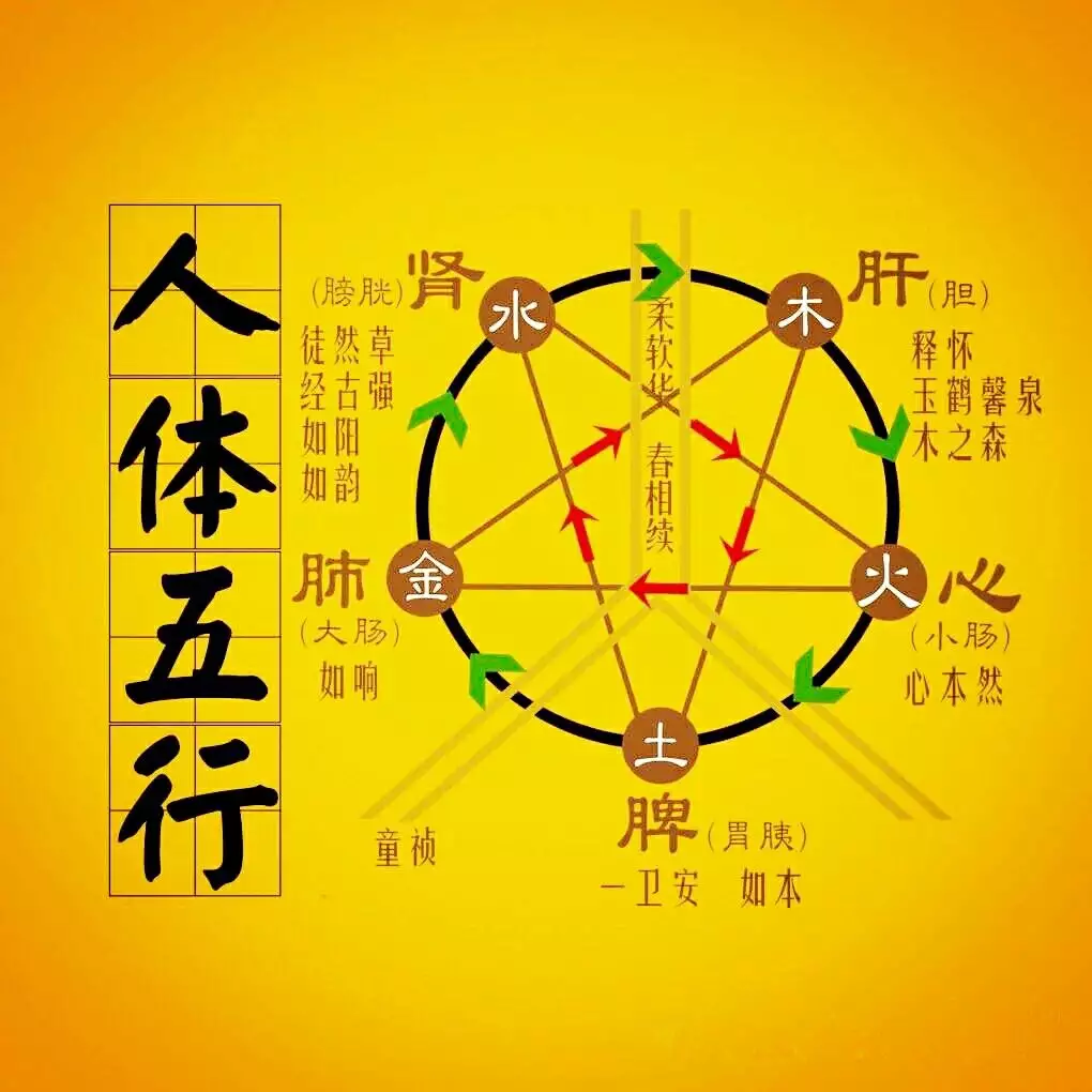 有的屬相要躲春是怎麼回事：躲春是什麼意思怎麼躲